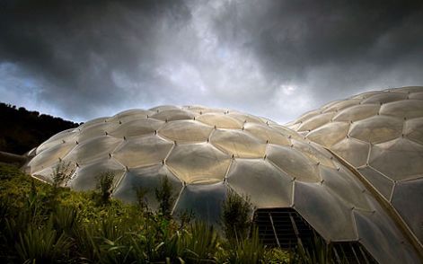 eden_project2.jpg