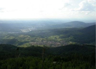 fekete_-erdo.jpg