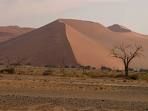 namib_sivatag.jpg